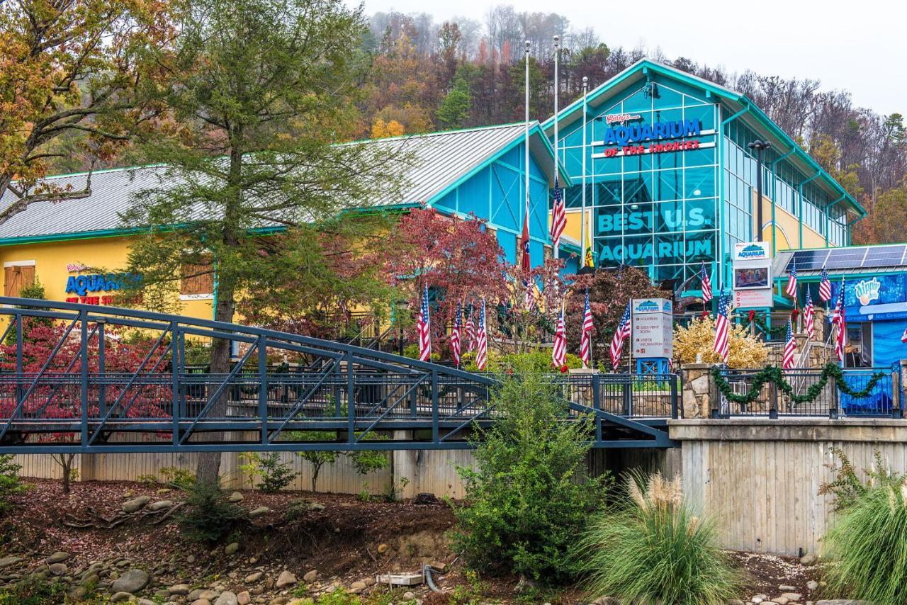 Huckleberry Ridge Villa Pigeon Forge Luaran gambar